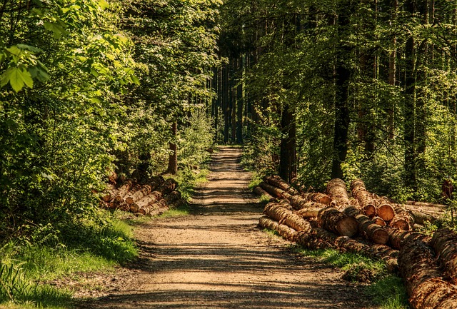 wandelen in de natuur