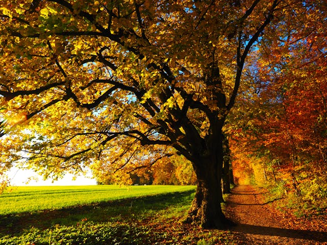 herfst gezonde recepten